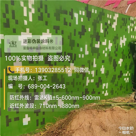巫溪星空迷彩漆，夏令营训练,数码迷彩作训墙,围墙