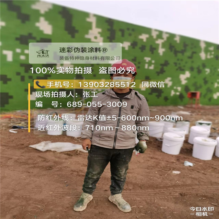 巫溪​包括外墙、护坡、水泥地面建筑物的迷彩喷涂